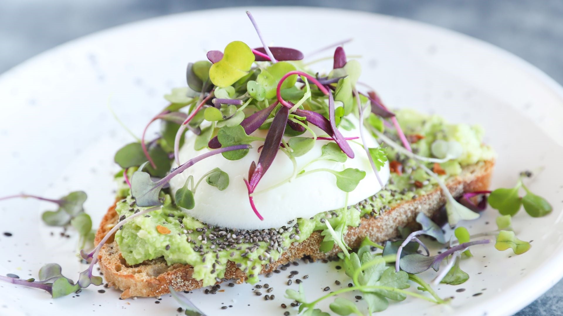 Microgreens Avocado Toast Recipe – Jihi